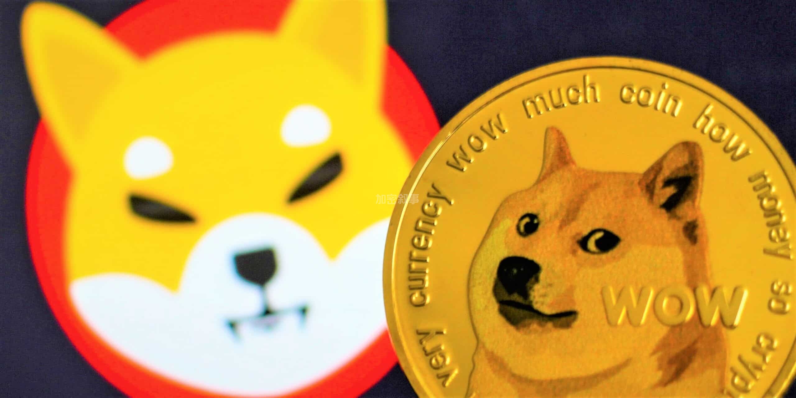 狗狗殺手」成真!柴犬幣暴衝甩開狗狗幣,市值躍全球第9 大- 區塊客
